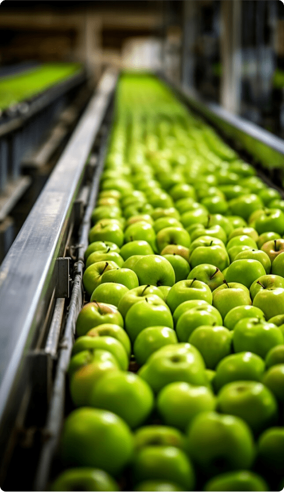 alimentos-bebidas-atmc-engenharia-maças